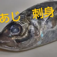 画像1557