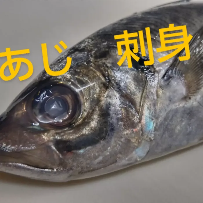 画像1557
