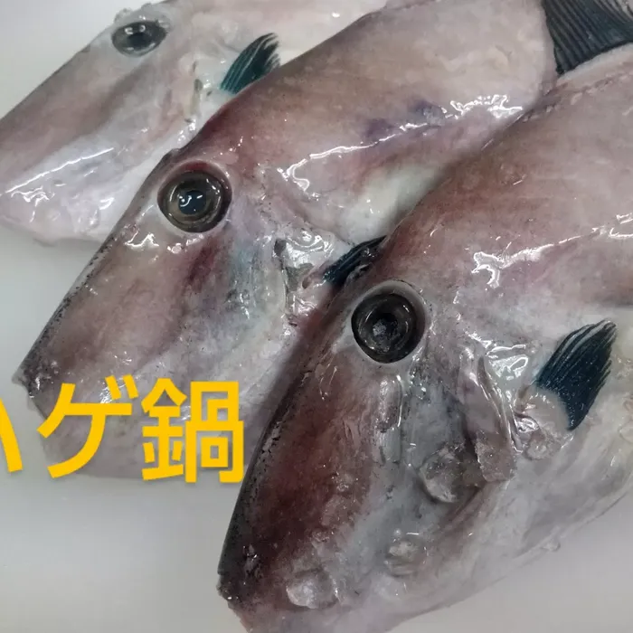 画像1558