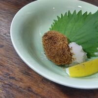 画像1574